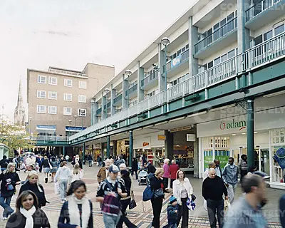 8 Orchard Link