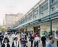 8 Orchard Link