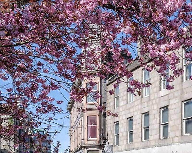 46-52 Schoolhill, Aberdeen - Picture 2026-06-04-17-10-24